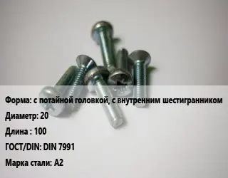 Винт с потайной головкой, с внутренним шестигранником 20х100 DIN 7991 Сталь: А2